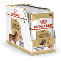 Royal Canin Breed Health Nutrition Dachshund Adult (WET DOG FOOD - Pouches)