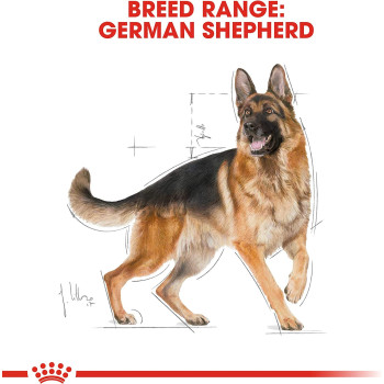 Royal Canin Breed Health Nutrition German Shepherd Adult 3 KG