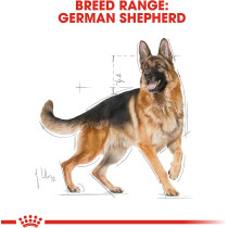 Royal Canin Breed Health Nutrition German Shepherd Adult 3 KG