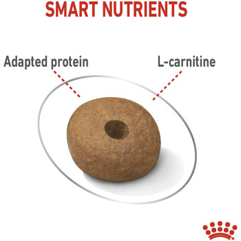 Royal Canin Canine Care Nutrition Medium Light Weight Care 12 KG