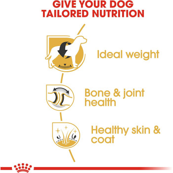 Royal Canin Breed Health Nutrition Labrador Adult 3 KG