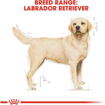 Royal Canin Breed Health Nutrition Labrador Adult 3 KG