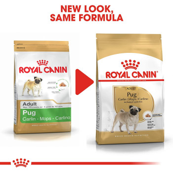 Royal Canin Breed Health Nutrition Pug Adult 1.5 KG
