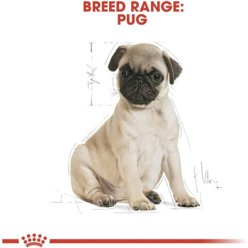 Royal Canin Breed Health Nutrition Pug Puppy 1.5 KG