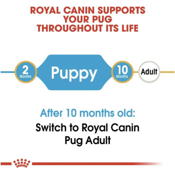 Royal Canin Breed Health Nutrition Pug Puppy 1.5 KG