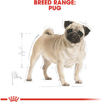 Royal Canin Breed Health Nutrition Pug Adult Dog Food 7.5 Kg