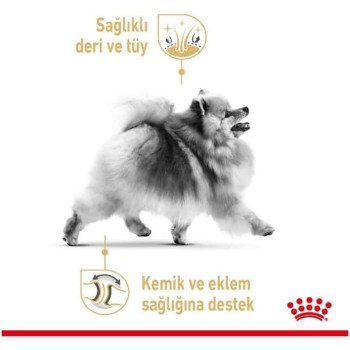 Royal Canin Breed Health Nutrition Pomeranian Adult  Dog Food 1.5 KG
