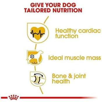 Royal Canin Breed Health Nutrition Rottweiler Adult 12 KG