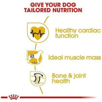 Royal Canin Breed Health Nutrition Rottweiler Adult 12 KG