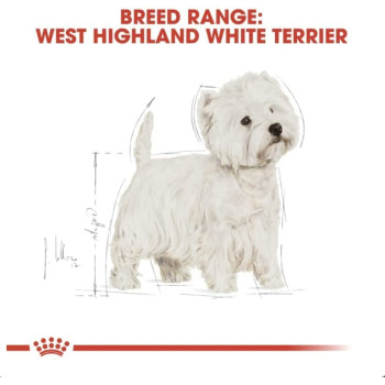 Royal Canin Breed Health Nutrition Westie Adult 3 KG