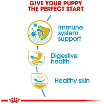 Royal Canin Breed Health Nutrition French Bulldog Puppy 3 KG