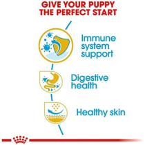 Royal Canin Breed Health Nutrition French Bulldog Puppy 3 KG