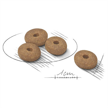 Royal Canin Canine Care Nutrition Mini Light Weight Care 3 KG