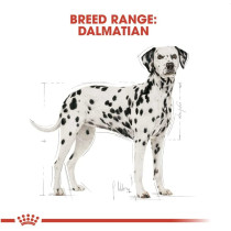 Royal Canin Breed Health Nutrition Dalmatian Adult 12 KG
