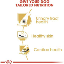Royal Canin Breed Health Nutrition Dalmatian Adult 12 KG