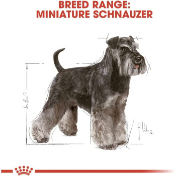 Royal Canin Breed Health Nutrition Miniature Schnauzer Adult 3 KG