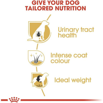 Royal Canin Breed Health Nutrition Miniature Schnauzer Adult 3 KG