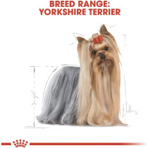 Royal Canin Breed Health Nutrition Yorkshire Adult (WET DOG FOOD - Pouches)