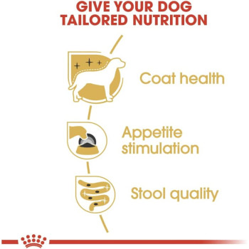 Royal Canin Breed Health Nutrition Yorkshire Adult (WET DOG FOOD - Pouches)