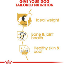 Royal Canin Breed Health Nutrition Labrador Adult 12 KG