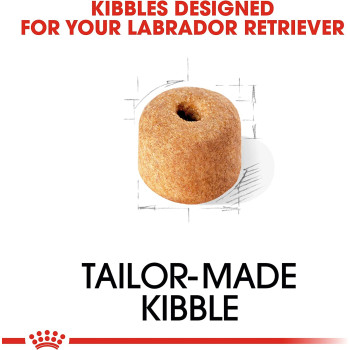 Royal Canin Breed Health Nutrition Labrador Adult 12 KG