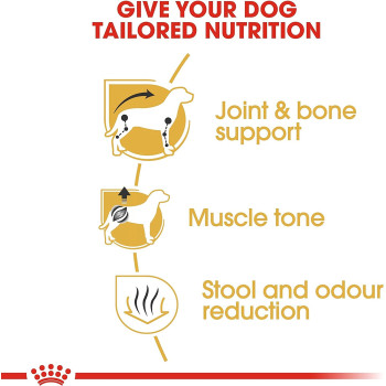 Royal Canin Breed Health Nutrition Dachshund Adult 1.5 KG