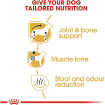 Royal Canin Breed Health Nutrition Dachshund Adult 1.5 KG