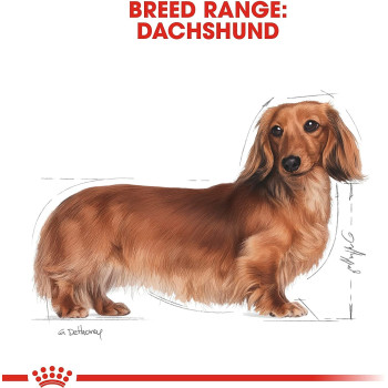 Royal Canin Breed Health Nutrition Dachshund Adult 1.5 KG