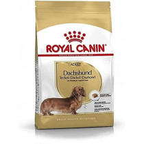 Royal Canin Breed Health Nutrition Dachshund Adult 1.5 KG