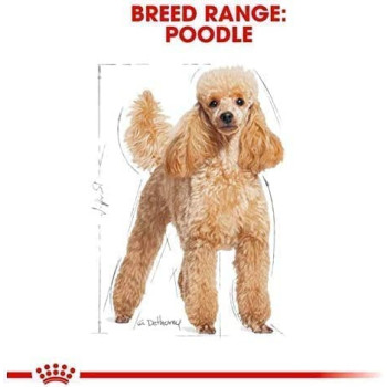 Royal Canin Breed Health Nutrition Poodle Adult Dog Food 1.5 KG