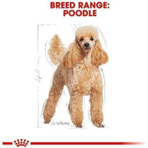 Royal Canin Breed Health Nutrition Poodle Adult Dog Food 1.5 KG