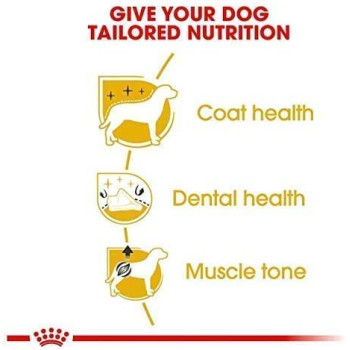 Royal Canin Breed Health Nutrition Poodle Adult Dog Food 1.5 KG
