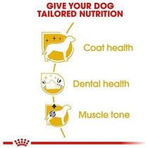 Royal Canin Breed Health Nutrition Poodle Adult Dog Food 1.5 KG