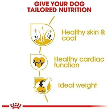 Royal Canin Breed Health Nutrition Golden Retriever Puppy 12 KG