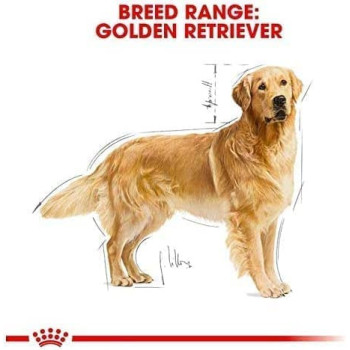 Royal Canin Breed Health Nutrition Golden Retriever Puppy 12 KG