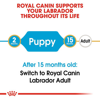 Royal Canin Breed Health Nutrition Labrador Puppy 12 KG