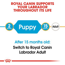 Royal Canin Breed Health Nutrition Labrador Puppy 12 KG