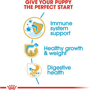 Royal Canin Breed Health Nutrition Labrador Puppy 12 KG