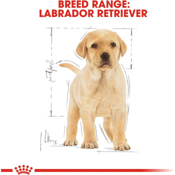 Royal Canin Breed Health Nutrition Labrador Puppy 12 KG