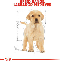 Royal Canin Breed Health Nutrition Labrador Puppy 12 KG
