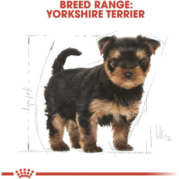 Royal Canin Breed Health Nutrition Yorkshire Puppy 1.5 KG