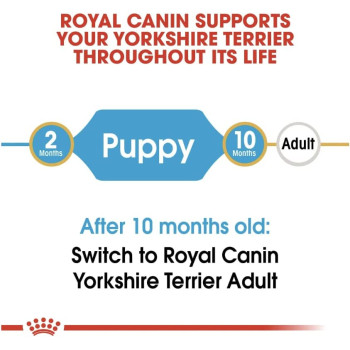 Royal Canin Breed Health Nutrition Yorkshire Puppy 1.5 KG