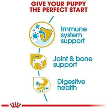 Royal Canin Breed Health Nutrition Dachshund Puppy 1.5 KG