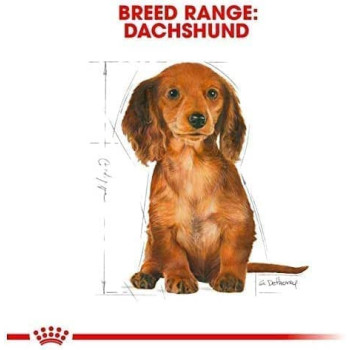 Royal Canin Breed Health Nutrition Dachshund Puppy 1.5 KG