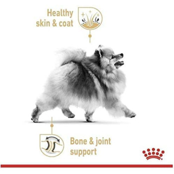 Royal Canin Breed Health Nutrition Pomeranian (Wet Dog Food - Pouches)