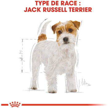 Royal Canin Breed Health Nutrition Jack Russell Adult 1.5 KG