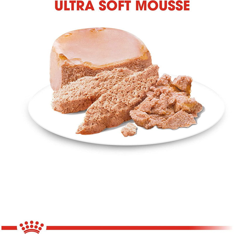 Royal Canin Canine Health Nutrition Starter Mousse (WET FOOD - Cans)