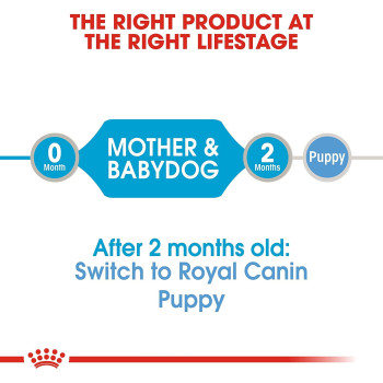 Royal Canin Canine Health Nutrition Starter Mousse (WET FOOD - Cans)