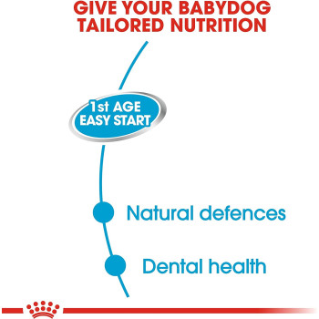 Royal Canin Canine Health Nutrition Starter Mousse (WET FOOD - Cans)