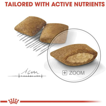 Royal Canin Canine Care Nutrition Mini Exigent 3 KG